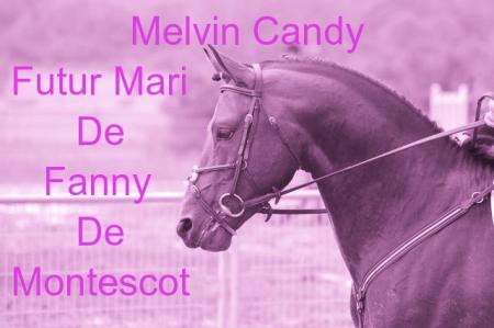 Melvin Candy